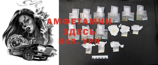 индика Горнозаводск