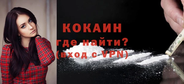 крисы Горняк