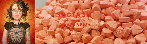 индика Горнозаводск
