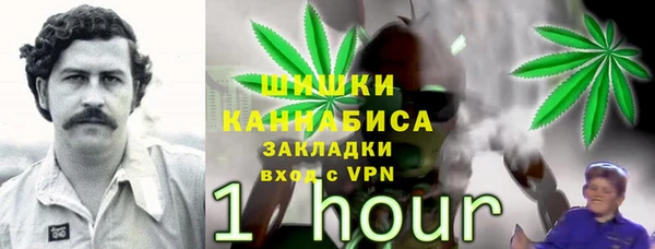 крисы Горняк