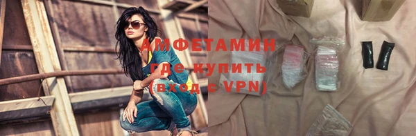 индика Горнозаводск