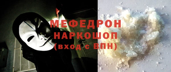 индика Горнозаводск