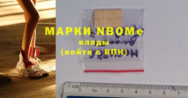 индика Горнозаводск