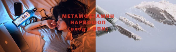 крисы Горняк