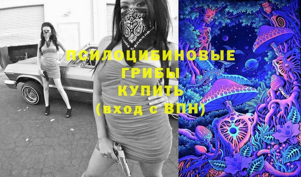 индика Горнозаводск