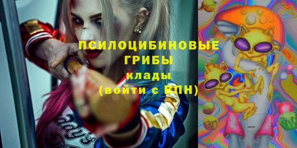 твердый Горно-Алтайск