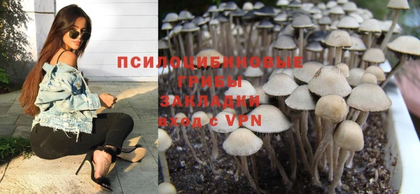 крисы Горняк