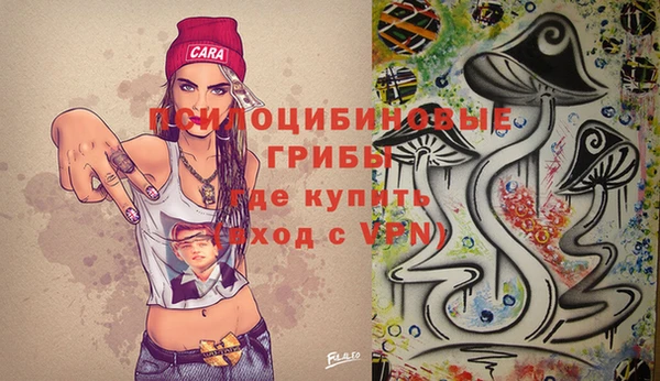 крисы Горняк