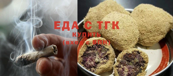 индика Горнозаводск