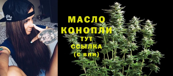 индика Горнозаводск