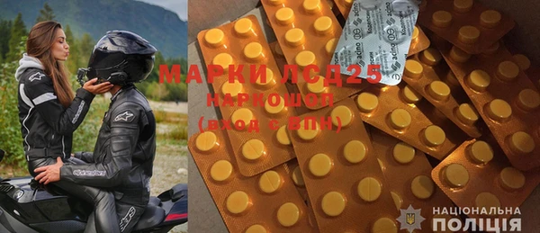 индика Горнозаводск