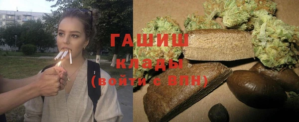 индика Горнозаводск
