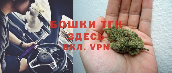 твердый Горно-Алтайск