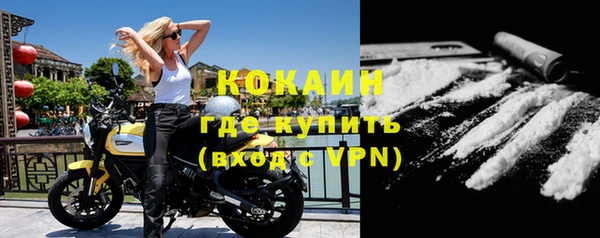 крисы Горняк
