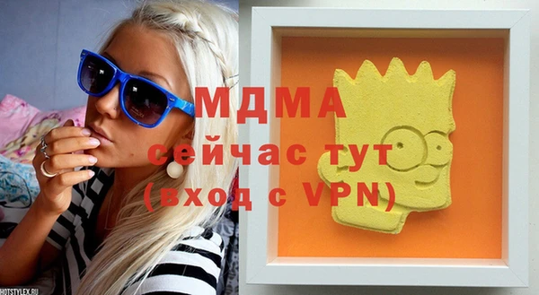 индика Горнозаводск