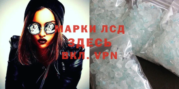 индика Горнозаводск
