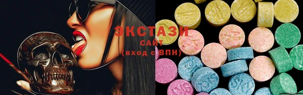 индика Горнозаводск