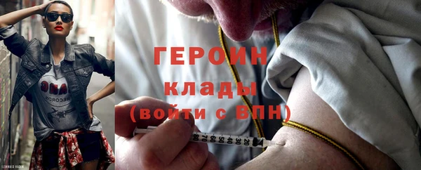 индика Горнозаводск