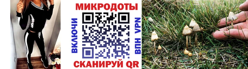 Галлюциногенные грибы MAGIC MUSHROOMS  Меленки 